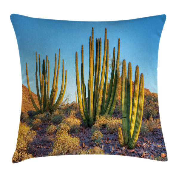 Cactus Throw Pillow Cover Decorative Accent Cushion Pillow Case with HQ Printing