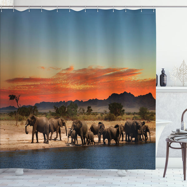 Savannah Shower Curtain Water Repellent Fabric Bathroom Decor Set with 12 Hooks Machine Washable